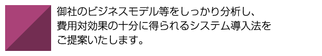 御社のビジネスモデル等をしっかり分析し、費用対効果の十分に得られるシステム導入法をご提案いたします。